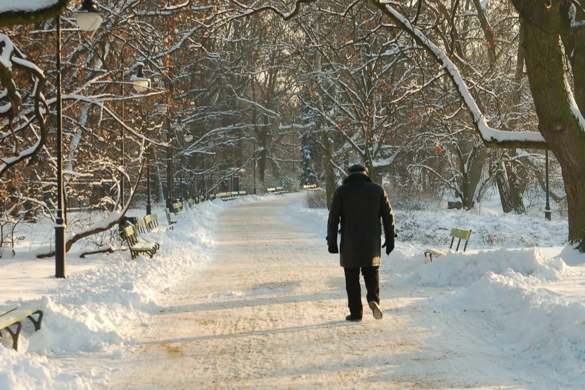 Solitary person walking down a snowy park path